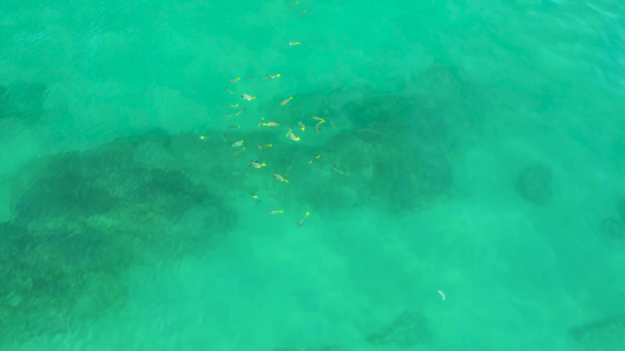 Clear aqua water at Shipwrecks Beach fills the frame, with a small fish cluster near the upper middle and broad dark reef shadows below, with no visible people.