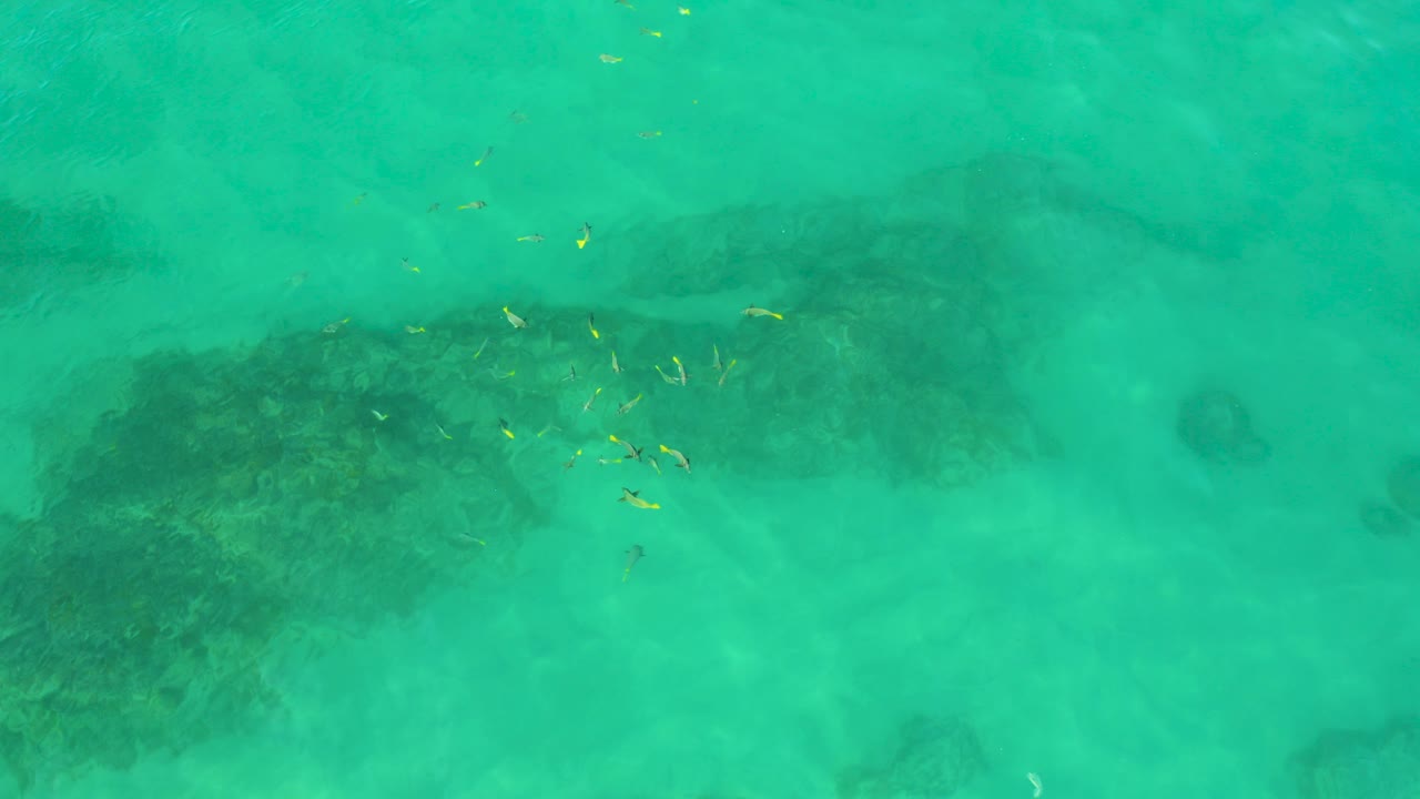 Turquoise water over submerged rock with small fish