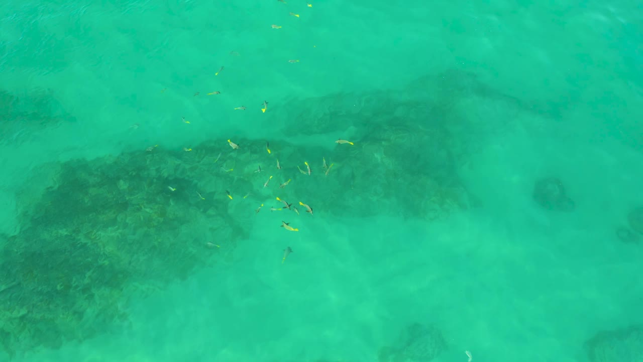 Clear green-turquoise water at Shipwrecks Beach holds a cluster of small fish above a darker rock patch, with no visible people or structures.