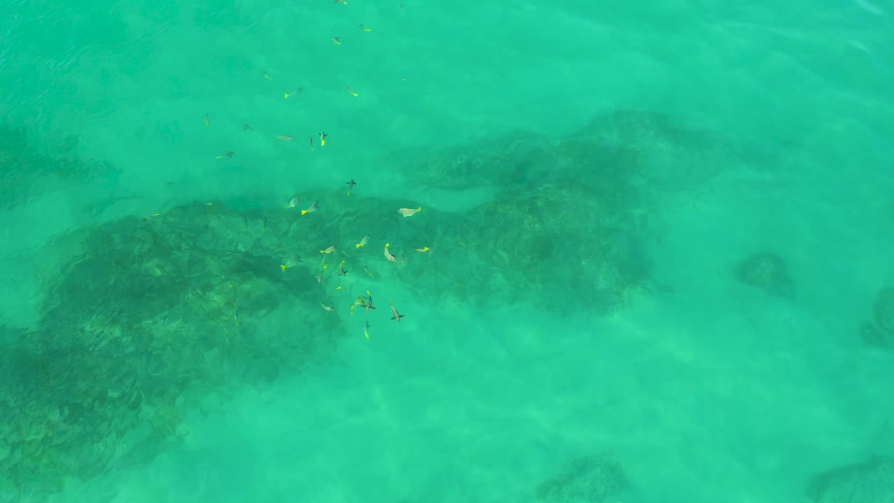 Turquoise ocean water fills the frame while dark submerged rock patches and a small fish group sit below the surface at Shipwrecks Beach, with no visible people.