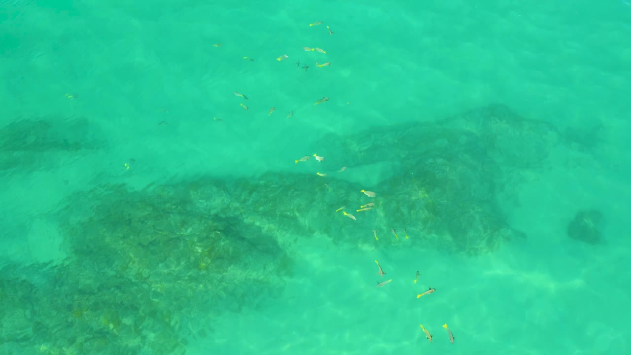 Overhead view of turquoise water at Shipwrecks Beach, Baja California Sur, with dark reef patches under the surface, small yellow fish-like shapes near the upper area, and no visible people.