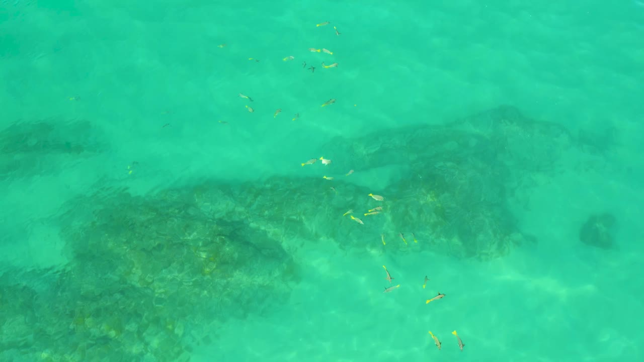 Blue-green sea at Shipwrecks Beach, Baja California Sur, viewed from above with a broad dark reef patch below and a cluster of small yellow fish-like shapes near center, with no visible people.