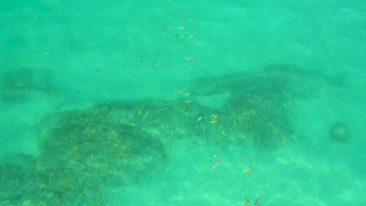 Clear turquoise water at Shipwrecks Beach, Baja California Sur, with a rounded reef patch on the right, paler sand around it, scattered small yellow fish-like shapes, and no visible people.