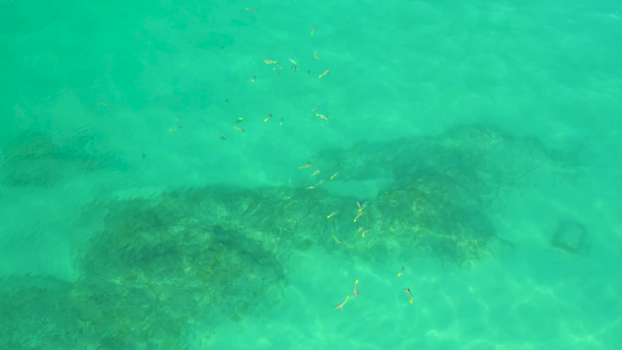 Shallow sea with reef patches and fish shapes across the water.