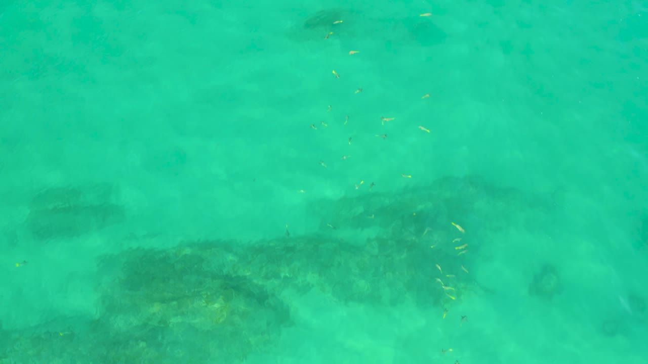 Clear green ocean water fills the frame at Shipwrecks Beach, Baja California Sur, with darker submerged forms slightly lower in view and no visible people.