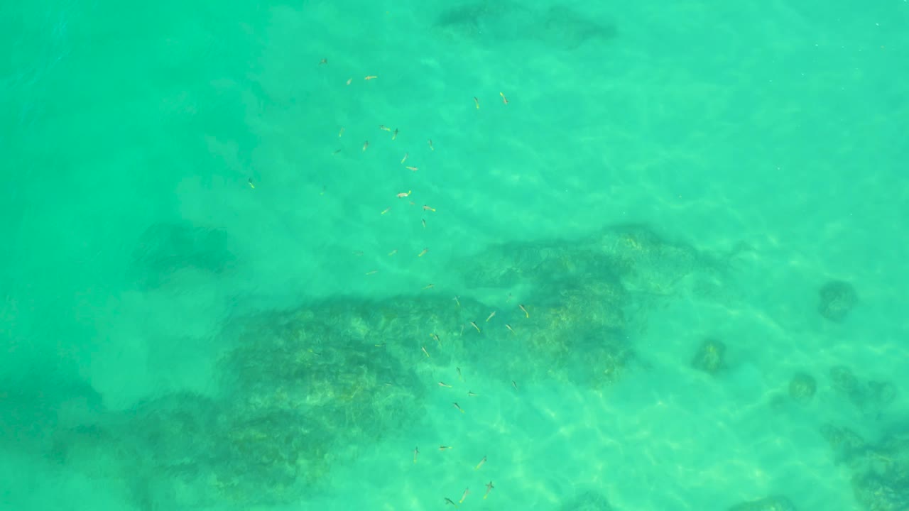 Overhead frame of clear green-blue sea at Shipwrecks Beach, Baja California Sur, with broad dark seabed forms running across the lower half and no visible people.
