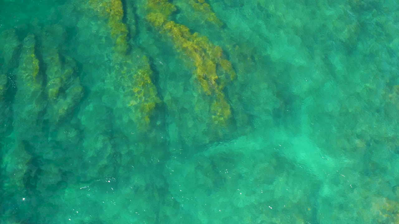 Clear green-blue seawater at Shipwrecks Beach, Baja California Sur, covers long dark underwater ridges with patches of yellow-green plant matter, no visible people.