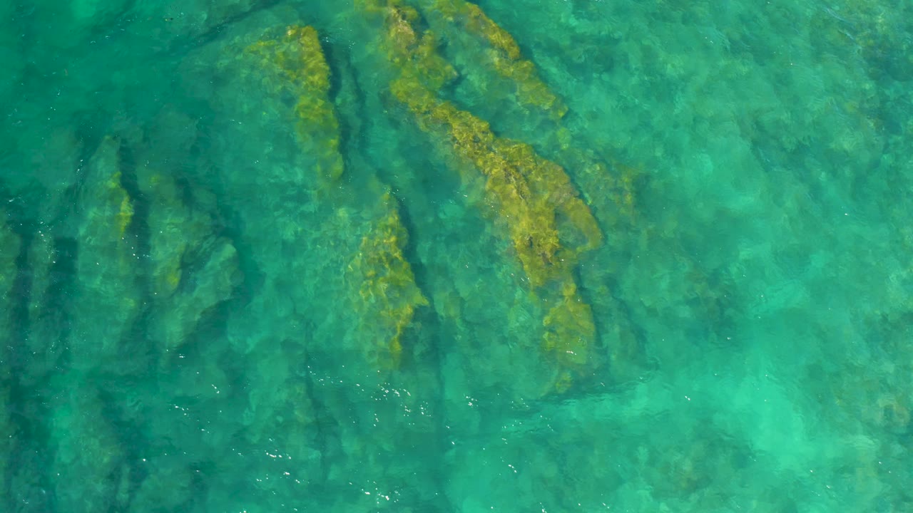 Aquatic plants and rocky underwater shapes are visible through shallow turquoise water at Shipwrecks Beach, Baja California Sur, with no shore or people in frame.
