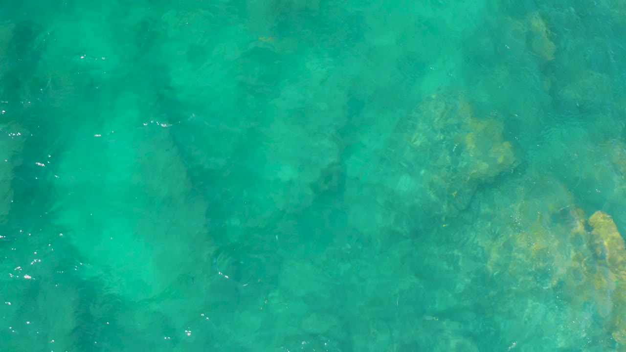 Blue-green water reveals submerged rocks and sandy bottom detail, with small yellow fish visible near the lower right and no visible people.