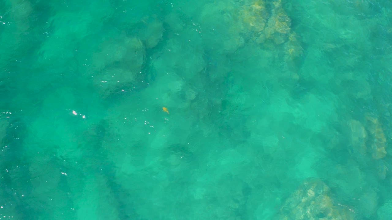 Top-down view of turquoise water at Shipwrecks Beach in Baja California Sur with submerged rock shapes, a small yellow fish, and no visible people.