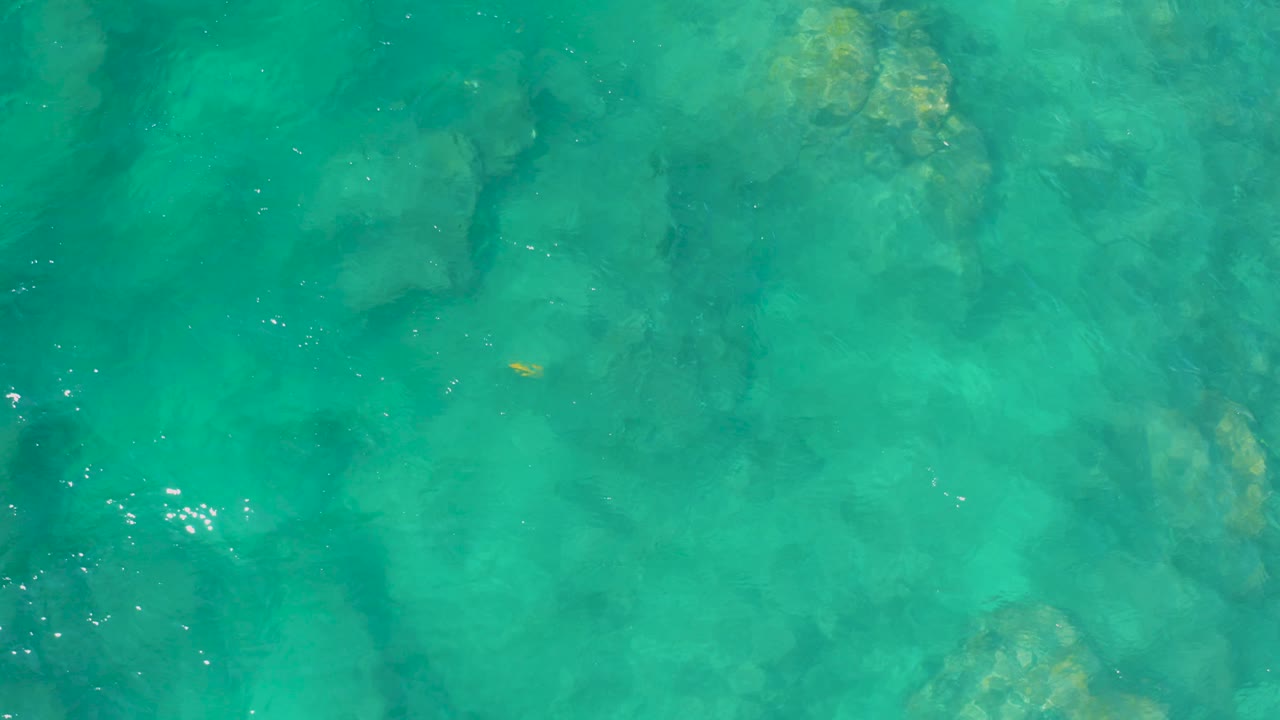 Top-down Shipwrecks Beach water view with turquoise color, soft darker rock forms below, a tiny yellow fish, and no visible people.