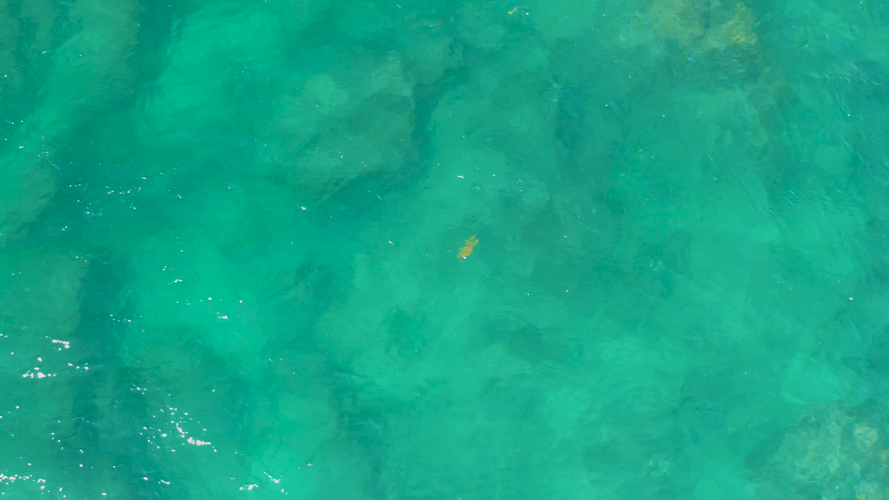 Top-down view of turquoise water over rocky seabed at Shipwrecks Beach, with a tiny yellow fish near the upper part of the frame and no visible people.