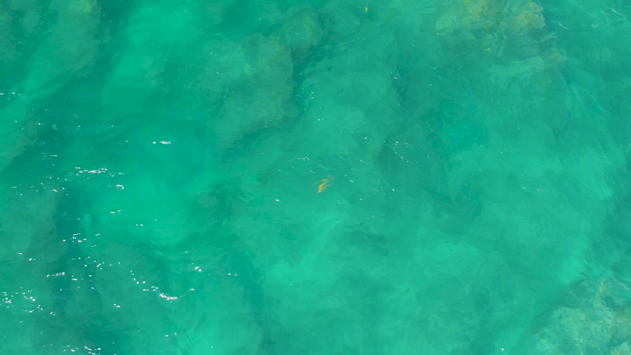 Top-down turquoise water frame from Shipwrecks Beach, with the small yellow fish visible near the upper center over muted rocks and no visible people.