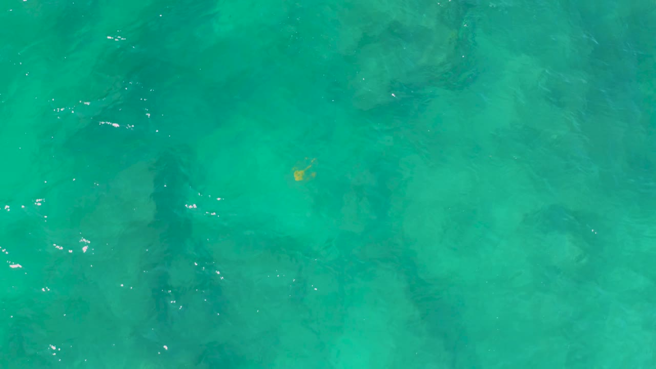 Green-blue Shipwrecks Beach water fills the frame with soft submerged shadow shapes, slight surface sparkle, a small yellow fleck, and no visible people.