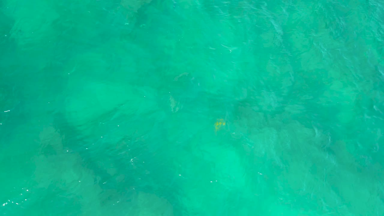 Turquoise seawater with submerged dark patches and a small yellow fish.