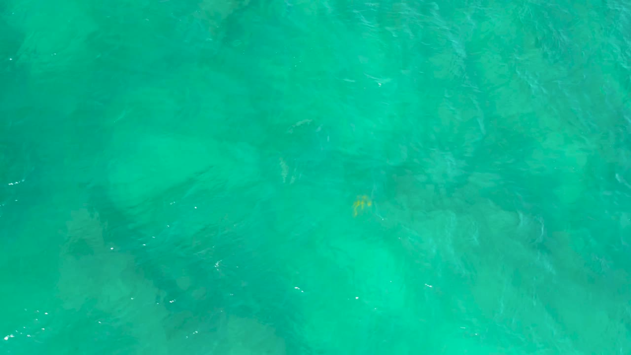 Green-blue underwater view at Shipwrecks Beach, Baja California Sur, with faint rock shapes under the surface and a small yellow fish slightly right of center, no visible people.