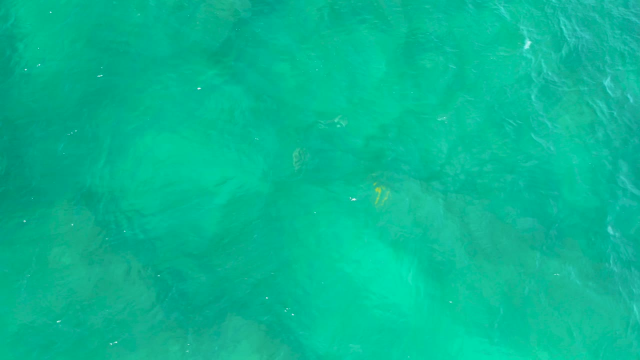 Turquoise seawater at Shipwrecks Beach, Baja California Sur, showing rippled light over darker underwater patches and a small yellow fish near the center-left, no visible people.