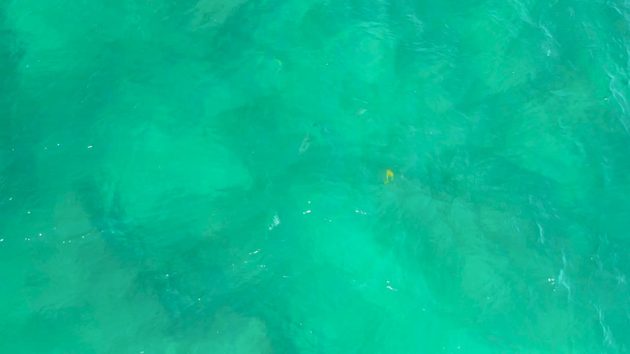 Blue-green water at Shipwrecks Beach, Baja California Sur, with mottled submerged rocks and a small yellow fish lower in the frame, no visible people.