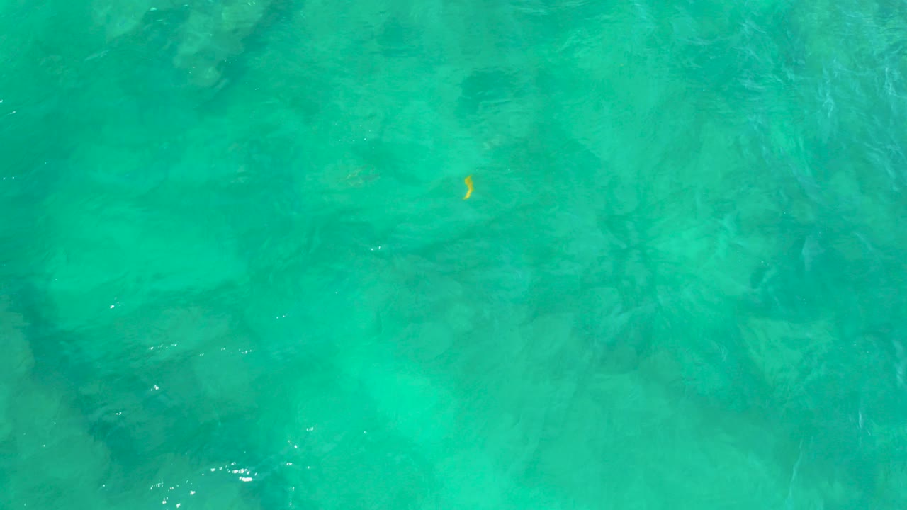 Overhead view of clear turquoise water at Shipwrecks Beach, Baja California Sur, with dark underwater forms and a small yellow fish near the upper left, no visible people.