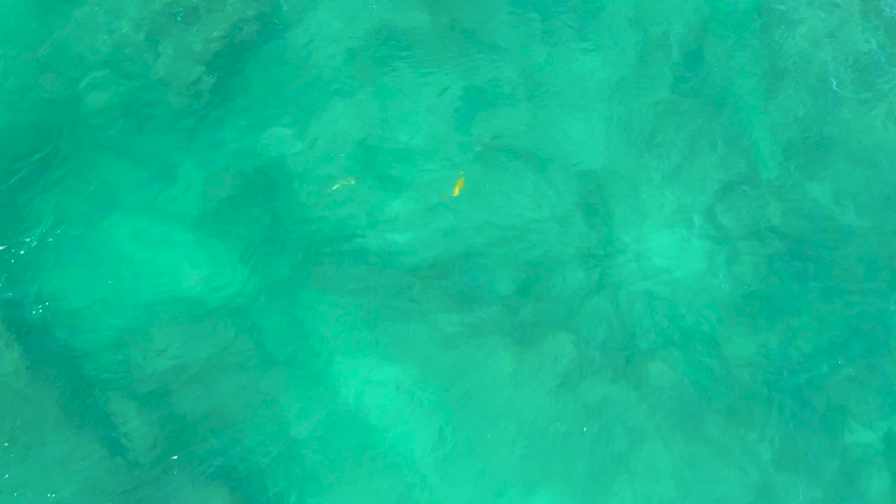 Turquoise Shipwrecks Beach water fills the frame with soft wind ripples, muted underwater shadows, and a yellow fish near the upper right, no visible people.