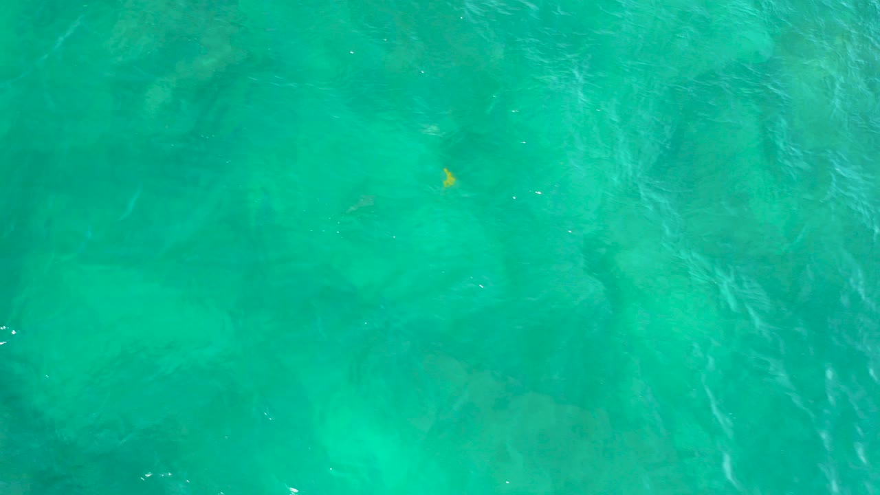 Turquoise water with faint submerged reef shapes and a small yellow fish.
