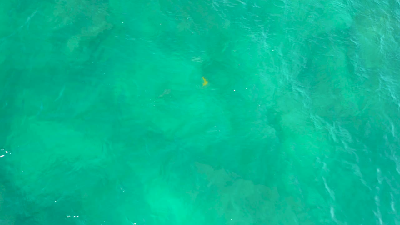 Top-down frame of green-blue water at Shipwrecks Beach, Baja California Sur, showing darker submerged reef patches and soft surface ripples, no visible people.