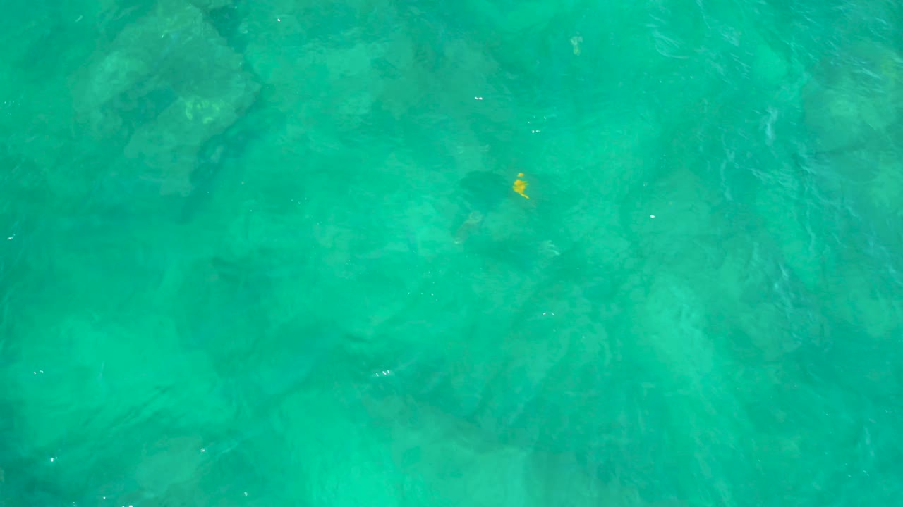 Clear turquoise water at Shipwrecks Beach, Baja California Sur, with a small yellow fish crossing above darker reef-like forms, no visible people.