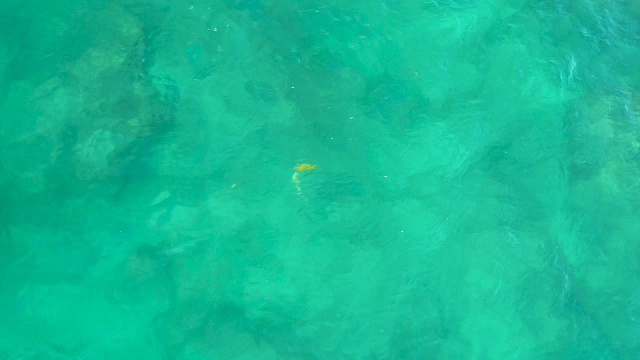 Top-down turquoise water at Shipwrecks Beach in Baja California Sur, Mexico, with darker submerged rock patches and a small yellow fish near the left side, no visible people.