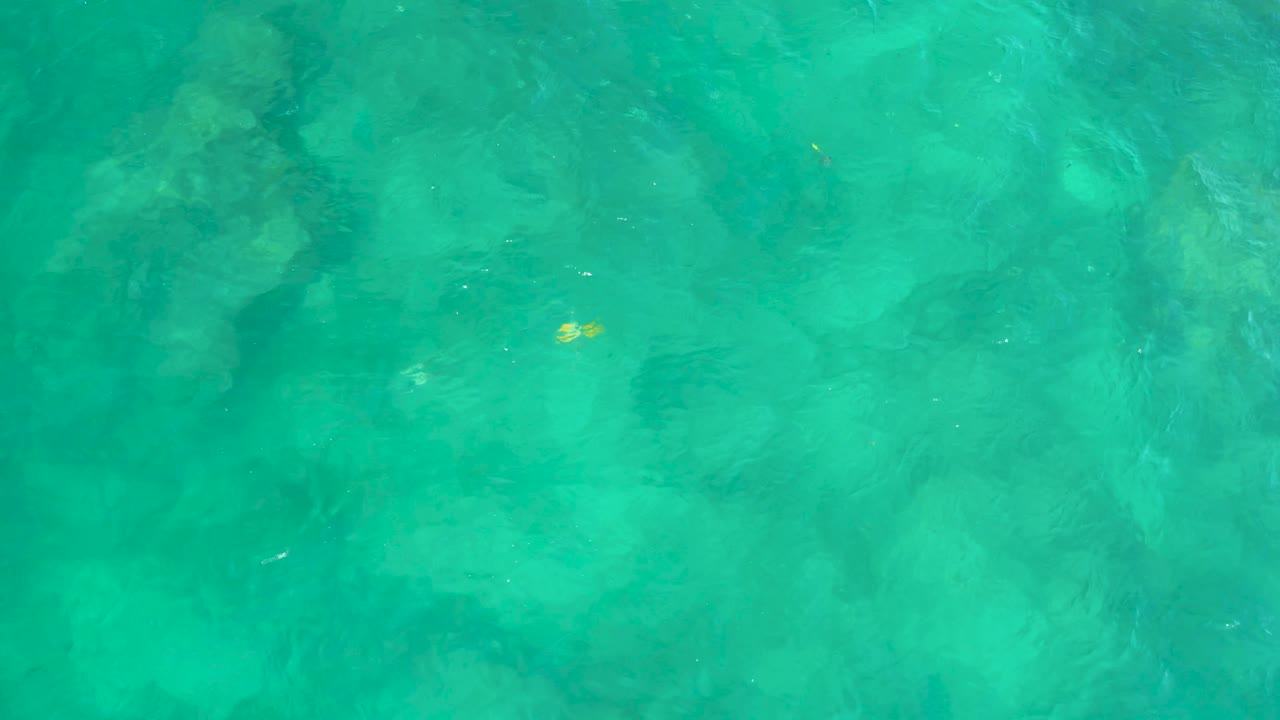 Turquoise water at Shipwrecks Beach in Baja California Sur, Mexico, with dark submerged forms and a small yellow fish near the upper middle, no visible people.
