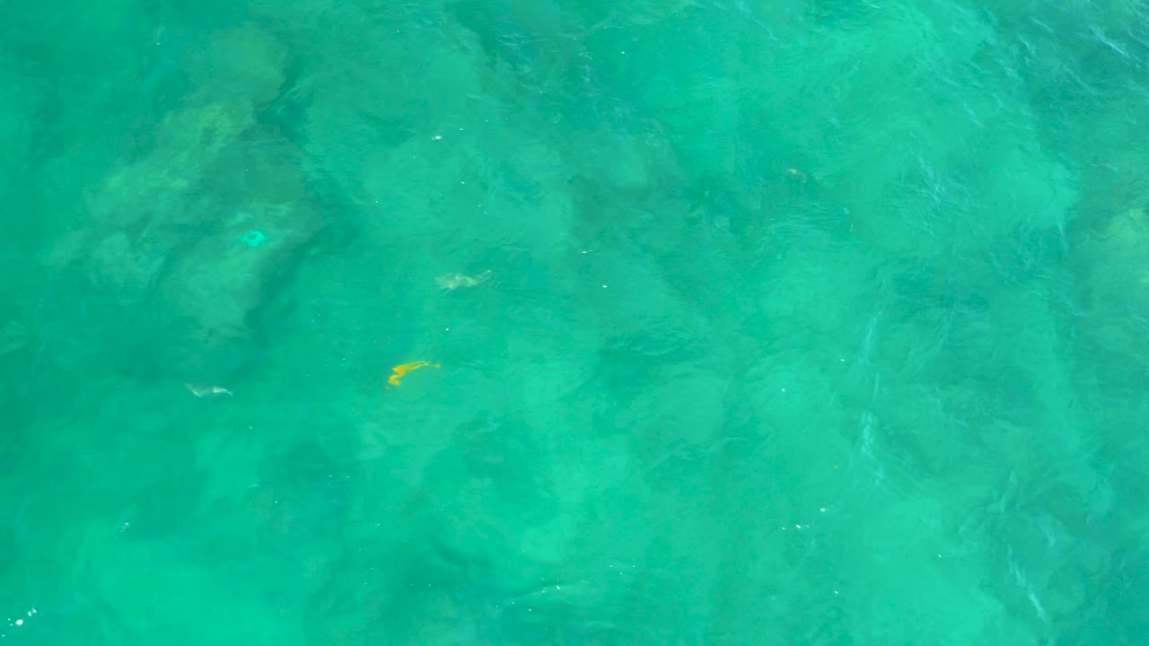 Turquoise water with a small yellow fish near submerged rocks