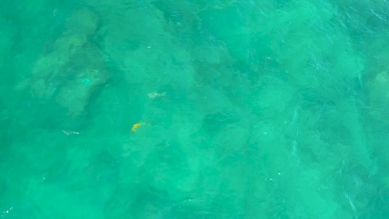 Clear green-blue water at Shipwrecks Beach shows a yellow fish crossing above shadowed rocks beneath the rippled surface, with no visible people.