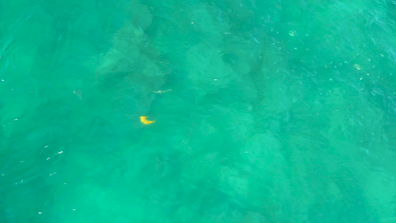 Overhead view of clear blue-green water at Shipwrecks Beach, Baja California Sur, with a small yellow fish near the left side and no visible people.