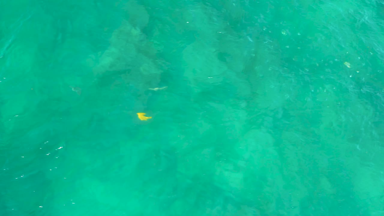 Turquoise water with a small yellow fish and faint submerged shapes.