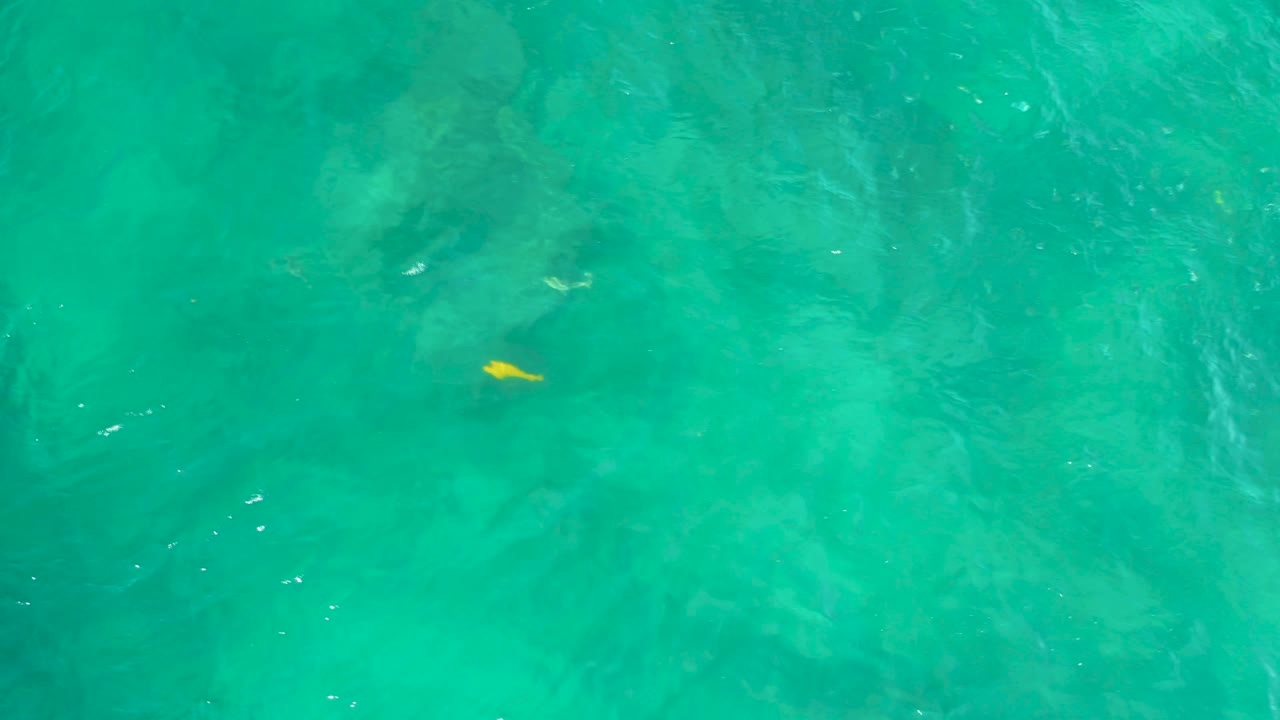 Overhead Shipwrecks Beach water frame with a small yellow fish nearer the middle-right area, soft submerged forms, and no visible people.