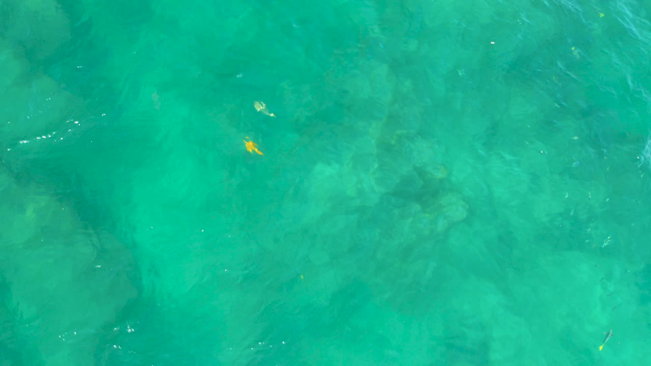 Top-down view into green turquoise water at Shipwrecks Beach, Baja California Sur, with submerged rocks, faint ripples, a small yellow fish near the upper center, and no visible people.