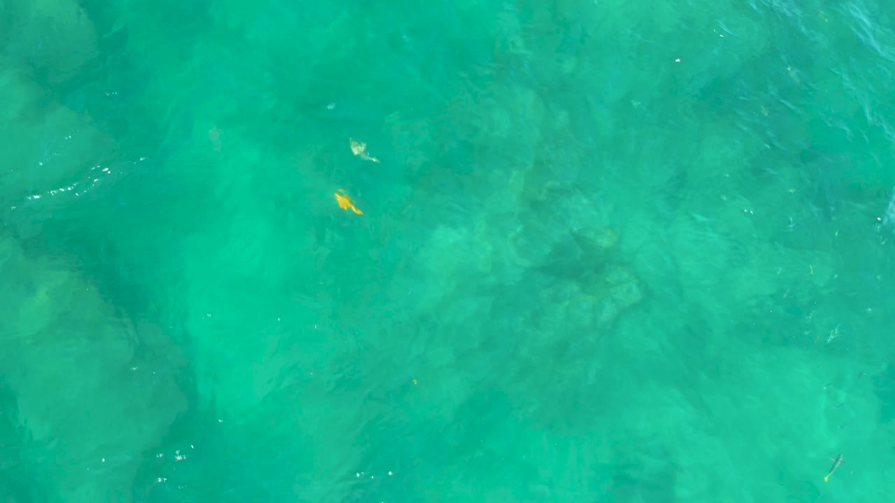 Aerial-style view of green water over darker submerged rock patches at Shipwrecks Beach, with a small yellow-orange fish high in frame and no visible people.