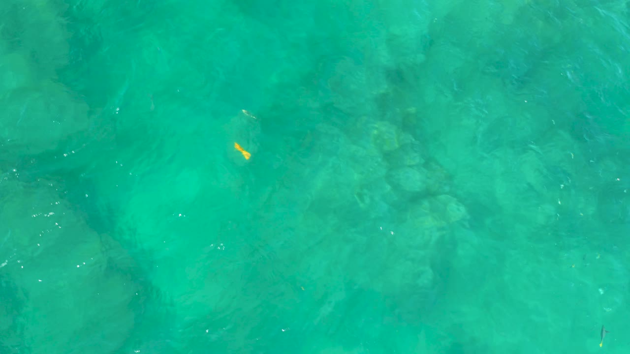 Turquoise-green water fills the frame at Shipwrecks Beach, Baja California Sur, with soft rock shapes below the surface, slight rippling, a small yellow fish near the upper area, and no visible people.