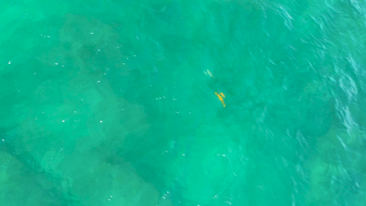 A small yellow fish is visible beneath bright turquoise surface ripples, with mottled darker seabed patches spread across the background and no visible people.