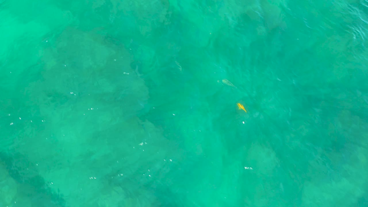 The yellow fish is set against a broad field of turquoise water, with surface movement softening the darker underwater forms and no visible people.