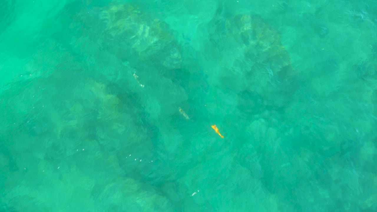 Overhead view of clear turquoise water at Shipwrecks Beach, Baja California Sur, with dark submerged rock shapes and a small yellow fish, no visible people.