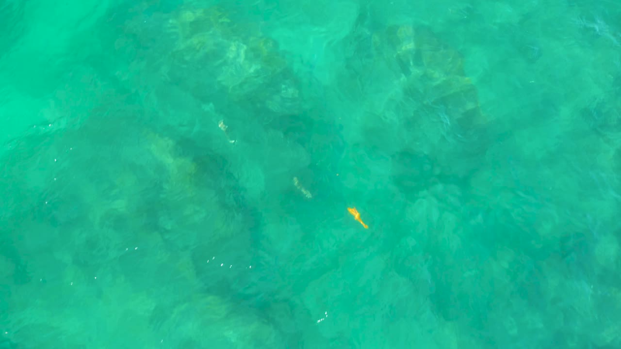 Blue-green water fills the frame at Shipwrecks Beach, Baja California Sur, with muted reef forms below the surface and a tiny bright fish near the center, no visible people.