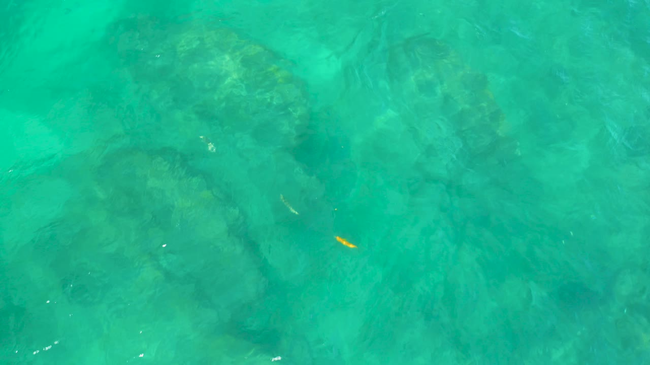 Shallow turquoise sea at Shipwrecks Beach, Baja California Sur, reveals darker submerged rocks with a small yellow fish crossing the open water, no visible people.