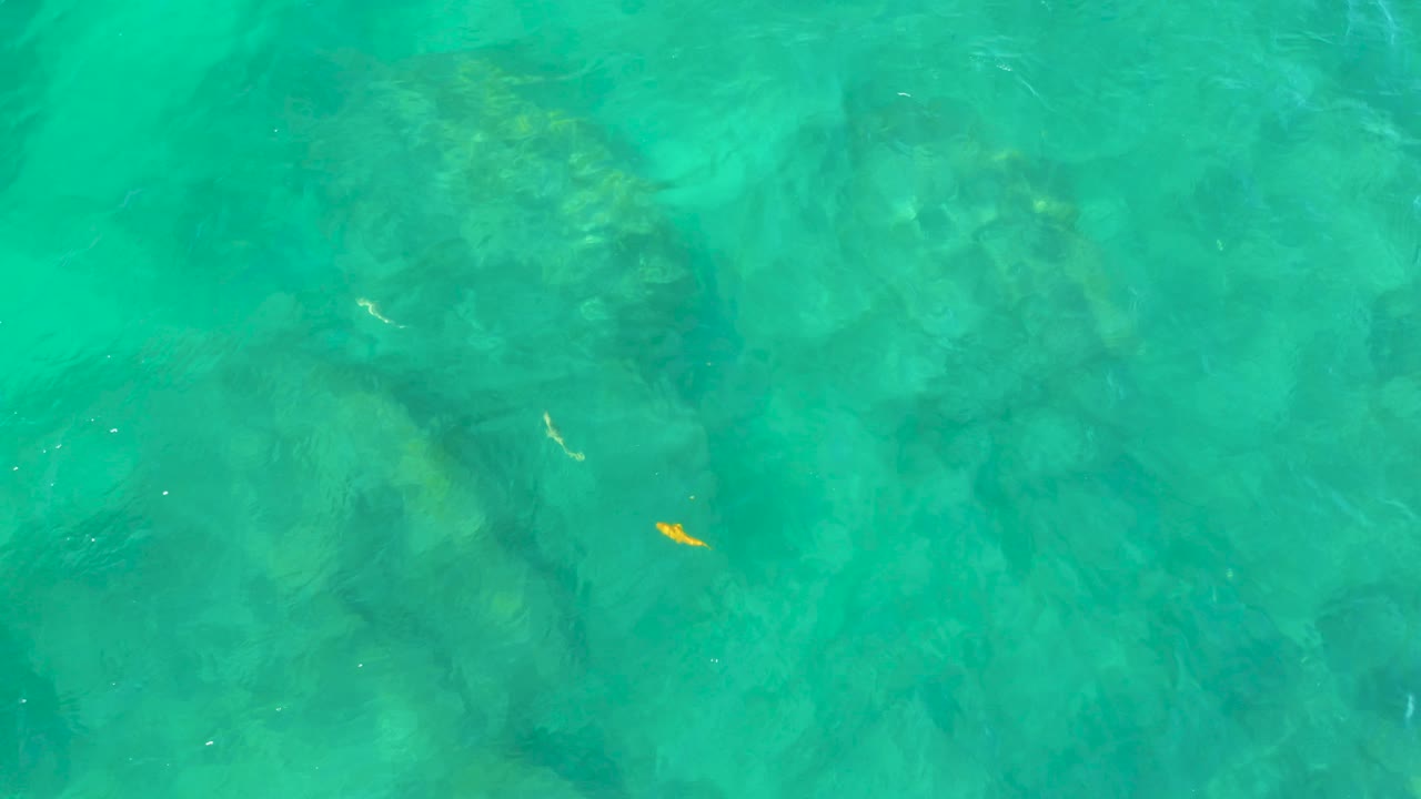 Clear turquoise water at Shipwrecks Beach, Baja California Sur, shows a pale fish over a softly blurred rocky bottom, with no visible people.