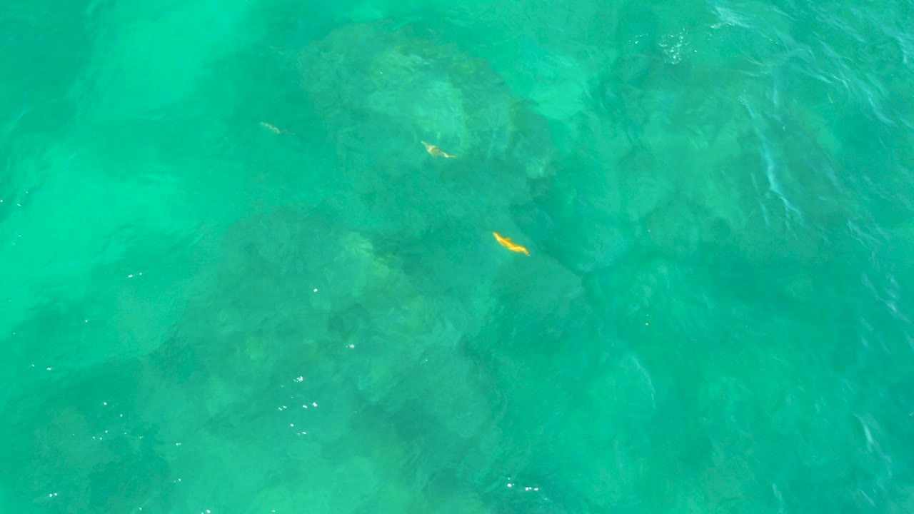 Turquoise ocean water with submerged rock shapes and a small yellow fish.