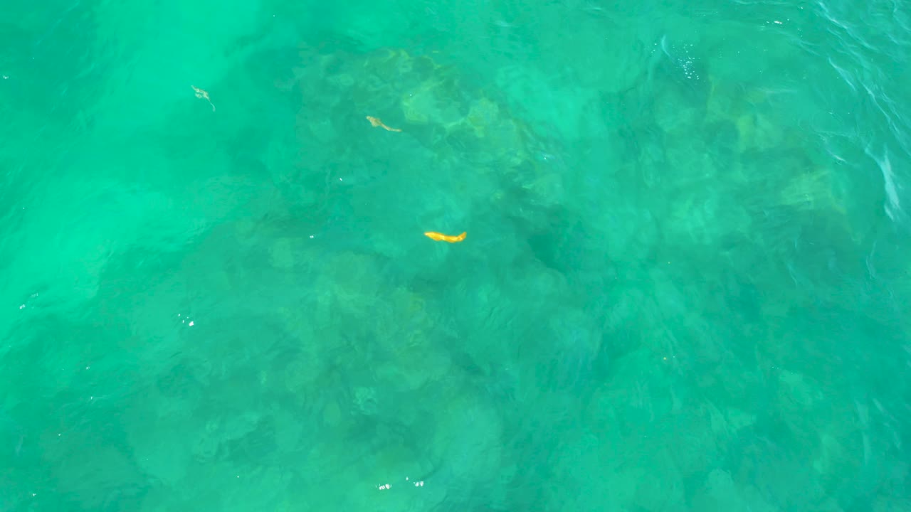 At Shipwrecks Beach in Baja California Sur, rocky patches show through the turquoise water and a tiny yellow fish appears near left center, with no visible people.