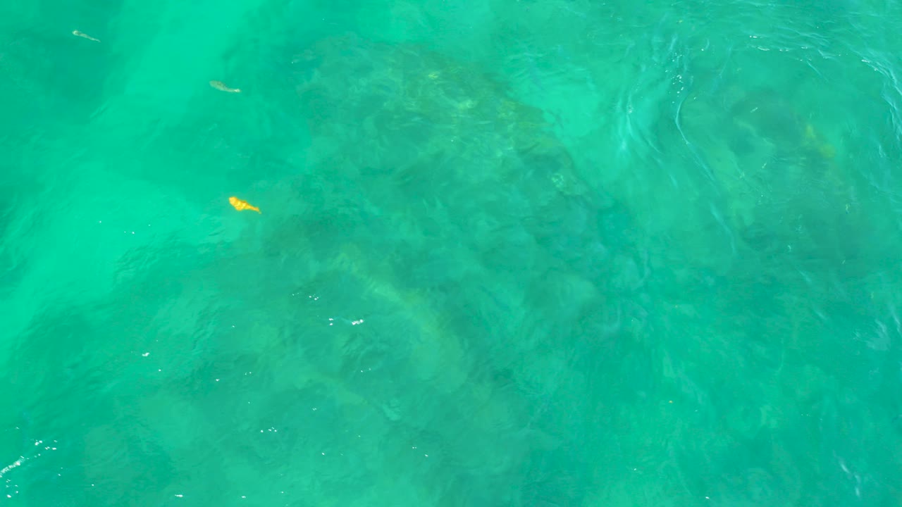 Top-down view of turquoise water at Shipwrecks Beach, Baja California Sur, with submerged rocks, a small yellow fish near the upper left, and no visible people.