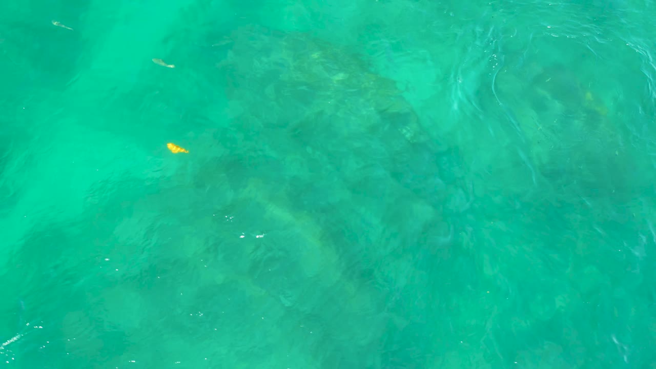 Clear blue-green water at Shipwrecks Beach, Baja California Sur, shows darker submerged rocks and a small yellow fish left of center, with no visible people.
