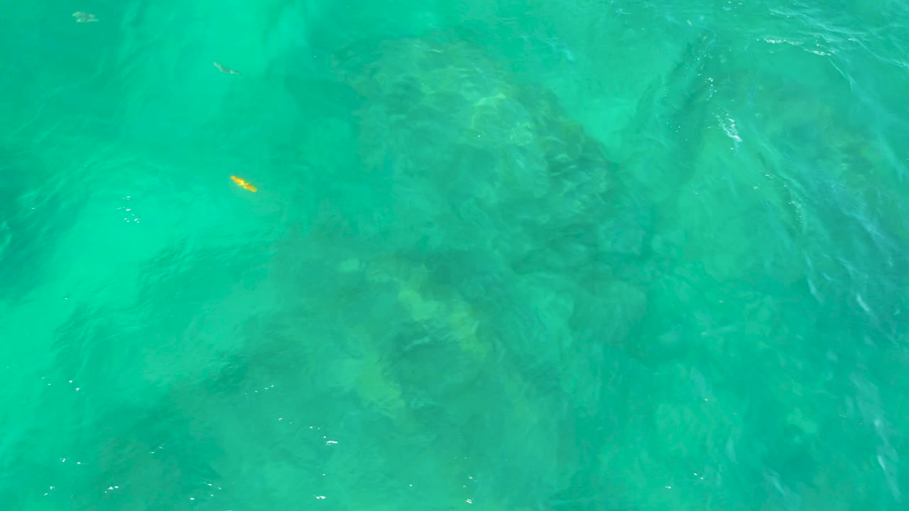 Bright turquoise water at Shipwrecks Beach, Baja California Sur, reveals faint submerged rocks beneath a small yellow fish near the upper middle, with no visible people.
