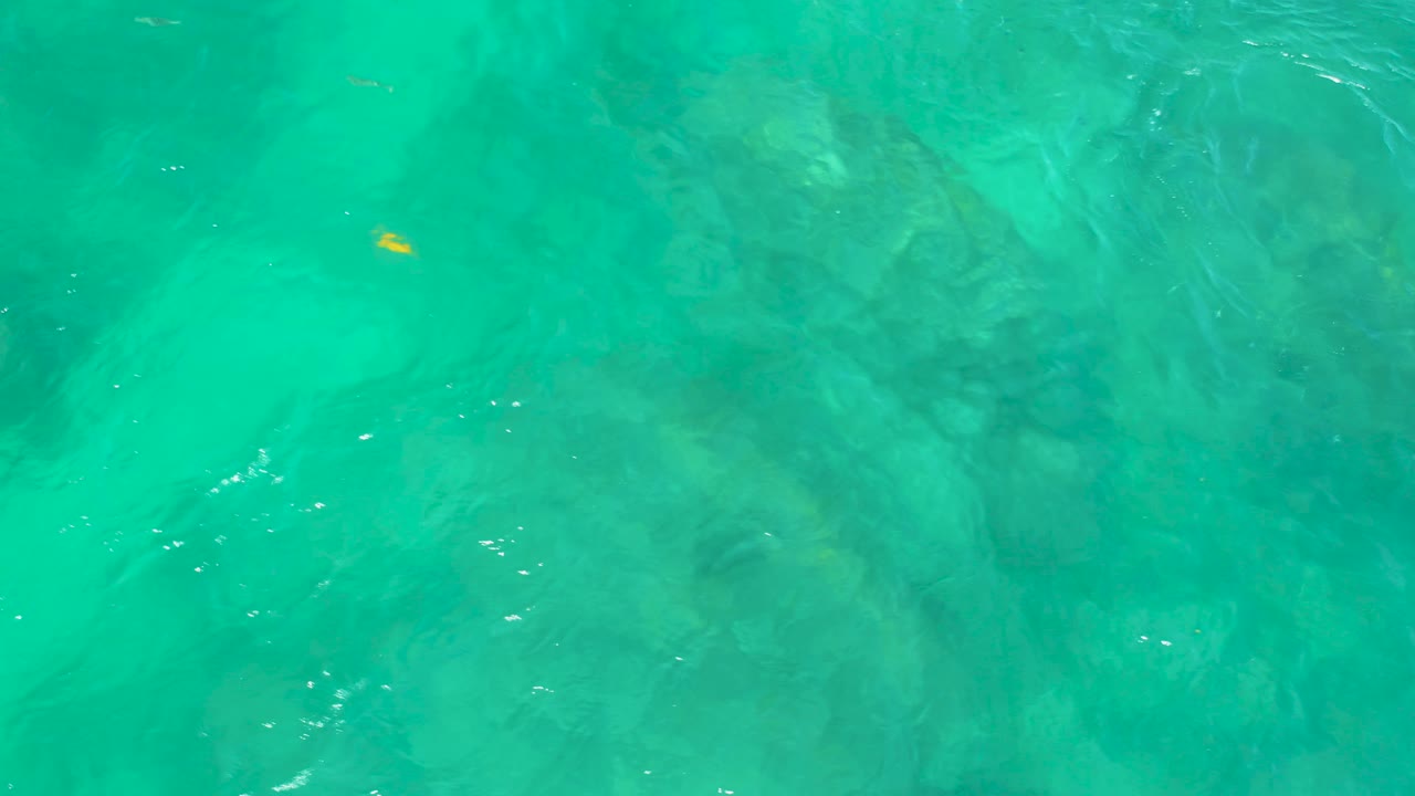 At Shipwrecks Beach, Baja California Sur, turquoise rippled water covers a rocky seabed while a small yellow fish appears along the left side, with no visible people.