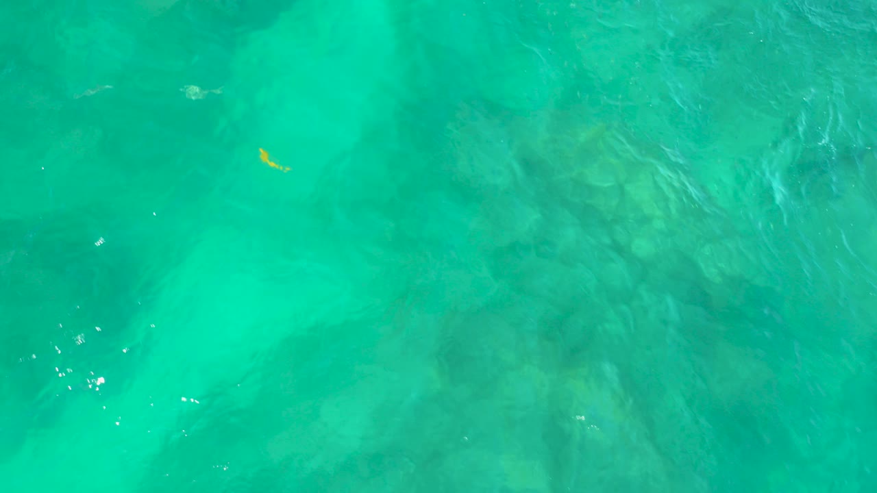 At Shipwrecks Beach, Baja California Sur, turquoise water fills the overhead frame with a small yellow fish or object near the upper left and no visible people.
